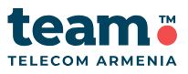 Team Telecom Armenia